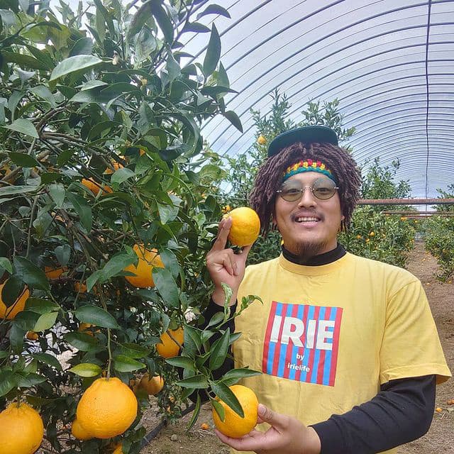 みかんと生産者の画像